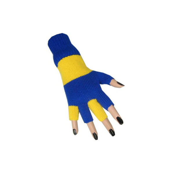 Handschoenen Geel Blauw Ballefruttersgat
